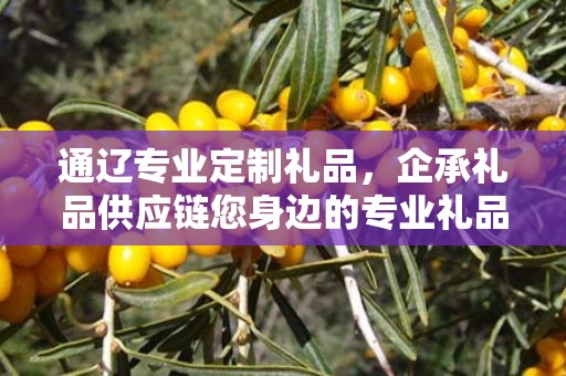 通辽专业定制礼品，企承礼品供应链您身边的专业礼品定制公司